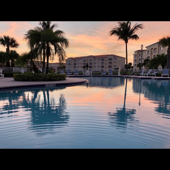 Meet your Posher, Alisa - Picture 5 of 5